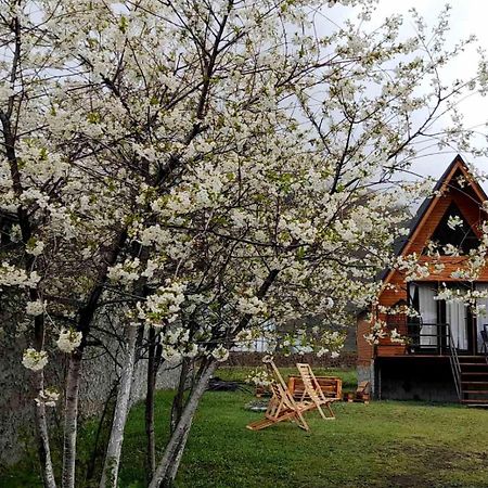 Thomas' Hut Leilighet Kazbegi Eksteriør bilde