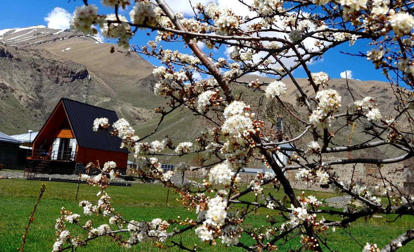 Thomas' Hut Leilighet Kazbegi Eksteriør bilde