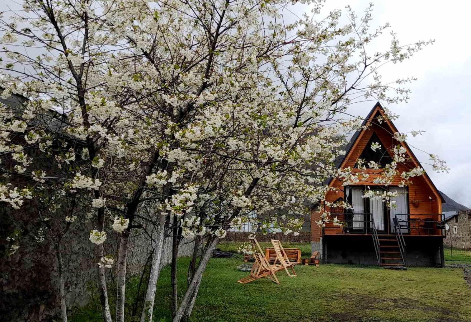 Thomas' Hut Leilighet Kazbegi Eksteriør bilde